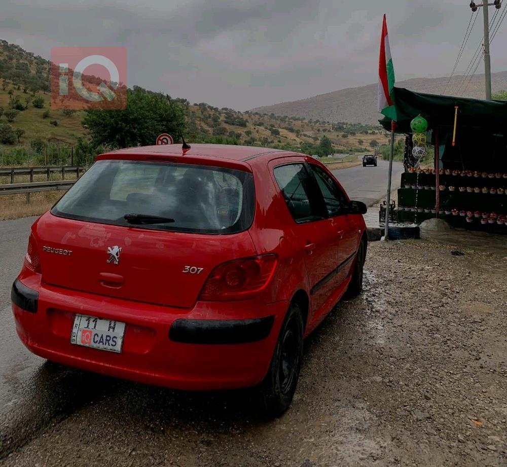بيجو 307